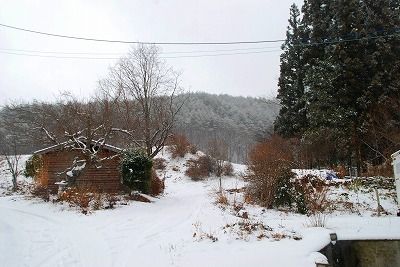 雪景色