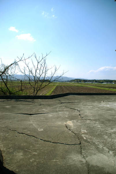 PICR0228