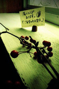 BlogPaint