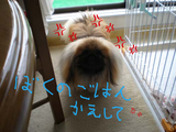 BlogPaint