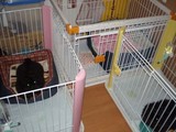 サークルP1300387