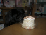 BlogPaint