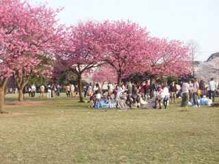 00ff5757.jpg