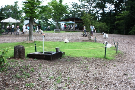 061055e2.jpg
