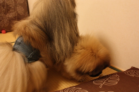 09828d5a.jpg