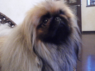 19cd0778.jpg