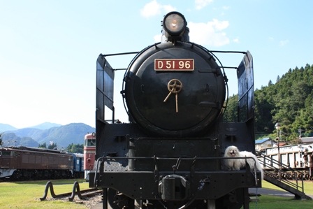 22f51a9f.jpg