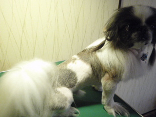 236940aa.jpg