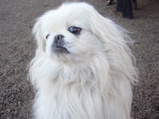 24446d85.jpg