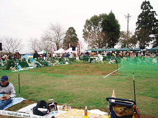 26638d72.jpg
