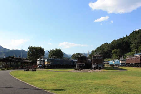 74879e95.jpg