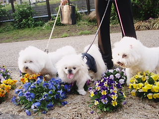 7d5994f3.jpg