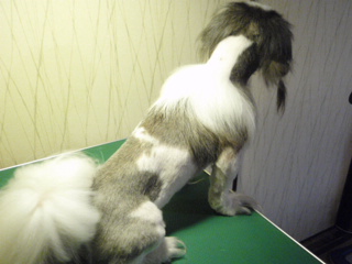 875accf9.jpg