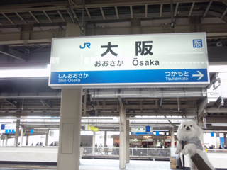 9deaa83b.jpg
