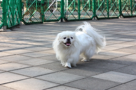 b334886d.jpg