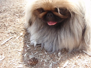 b3e7bf59.jpg