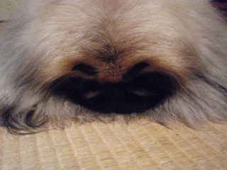 b6cc90f1.jpg