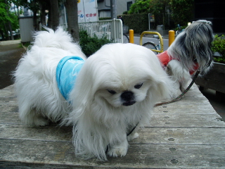 c85a9bab.jpg