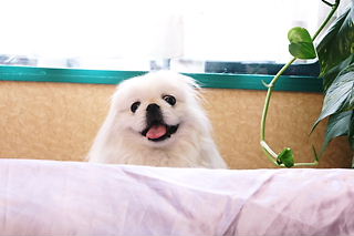f1e5e67a.jpg