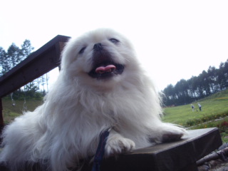 fb8c77b2.jpg
