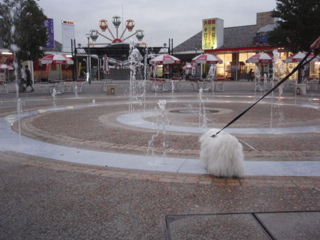 fcf646b8.jpg