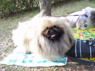 fdff09c0.jpg