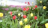 255f3a0f.jpg