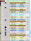 2019詳細日程V7