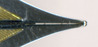 2009-11-18 03
