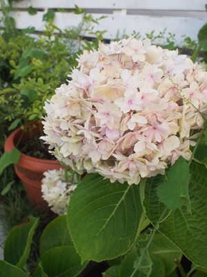 P1015358