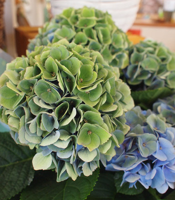 P1012124