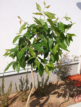 P1012838