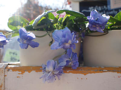 P1014918