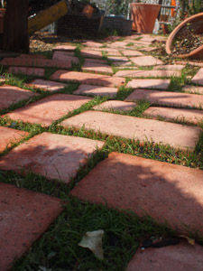 P1013113