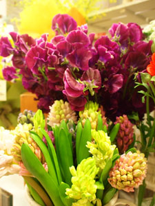 P1013434