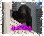 としやくん