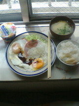 ブランチ