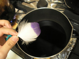 58c4513f.JPG