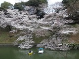 千鳥ヶ淵4