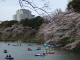 千鳥ヶ淵3