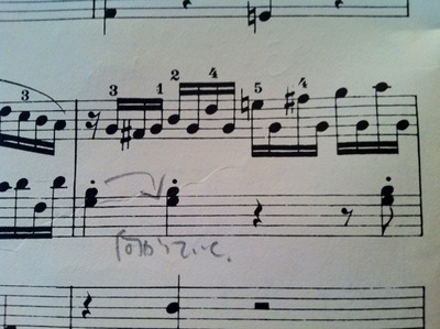 concerto17