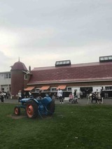 IMG_4986