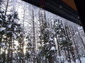 �Ĥ��1��29��