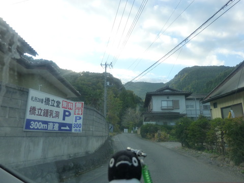 P1020594