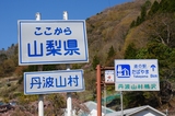 daibo (12)
