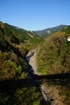 daibo (5)