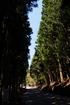 daibo (14)
