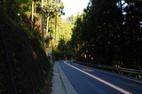 daibo (3)