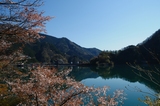 daibo (11)