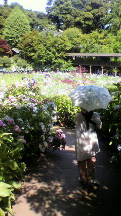2010061714560001